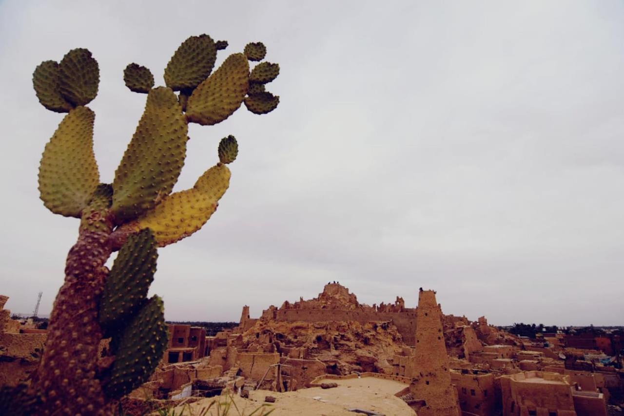 Nainshal Siwa Apartamento Siwa Oasis Exterior foto